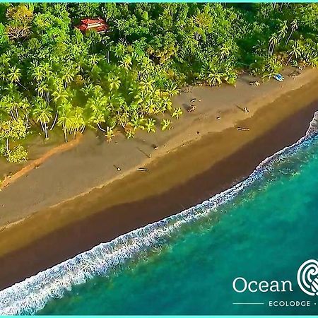 Ocean Forest Ecolodge San Pedrillo Exterior foto
