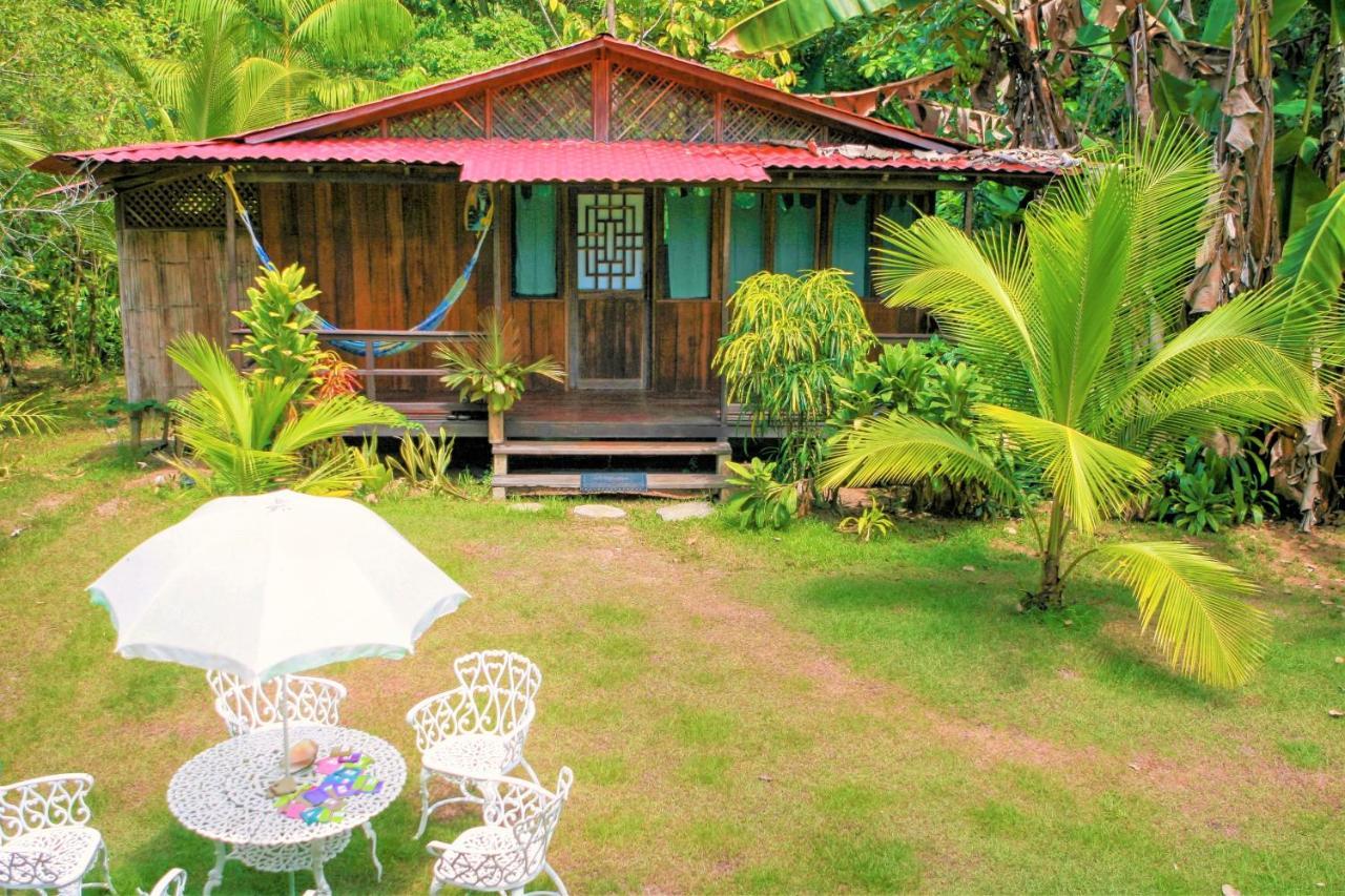 Ocean Forest Ecolodge San Pedrillo Exterior foto