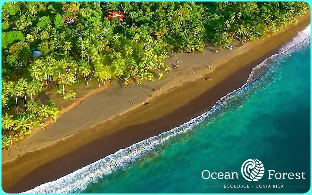 Ocean Forest Ecolodge San Pedrillo Exterior foto