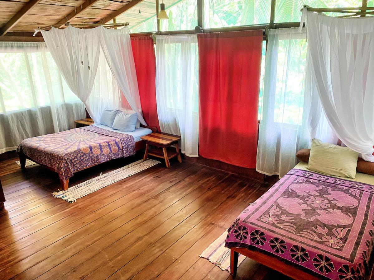 Ocean Forest Ecolodge San Pedrillo Exterior foto