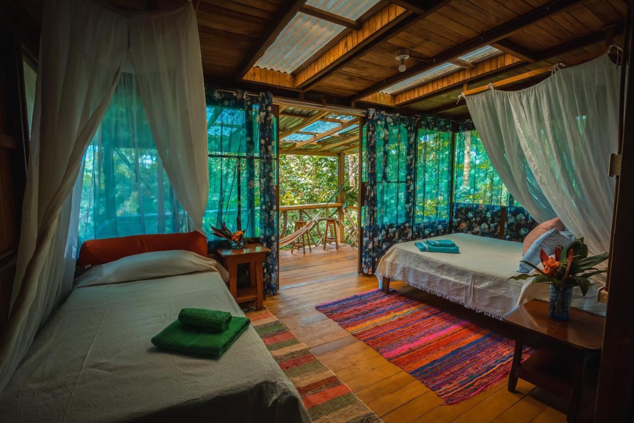 Ocean Forest Ecolodge San Pedrillo Exterior foto