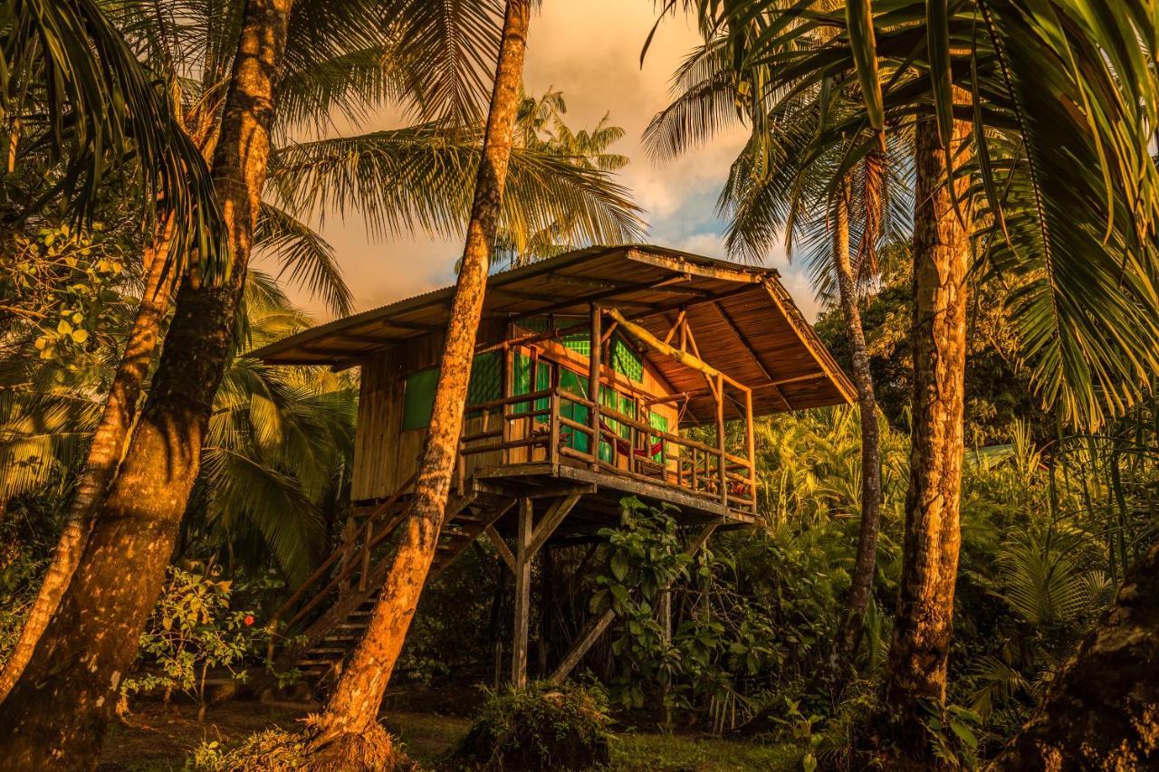 Ocean Forest Ecolodge San Pedrillo Exterior foto