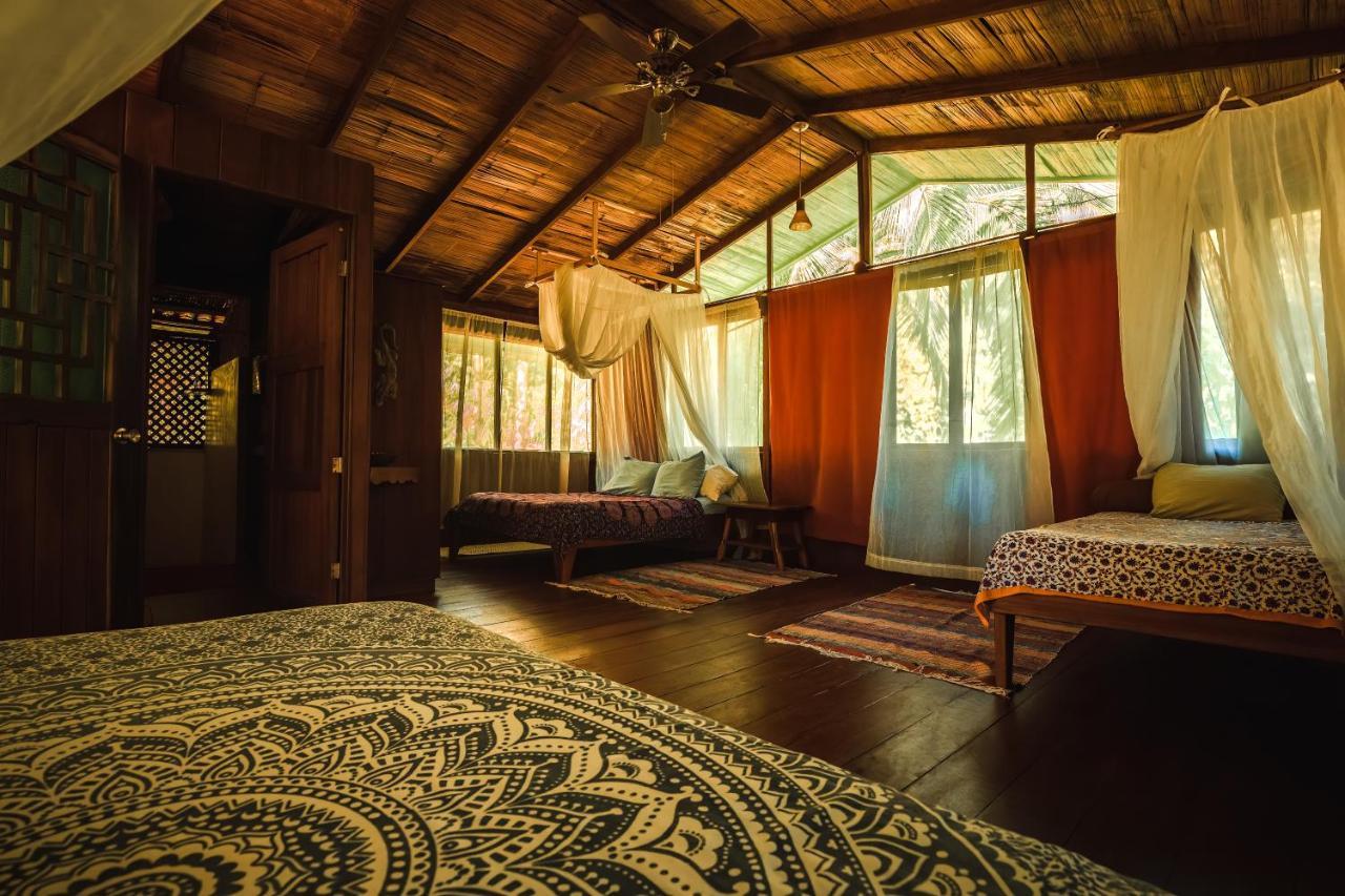 Ocean Forest Ecolodge San Pedrillo Exterior foto