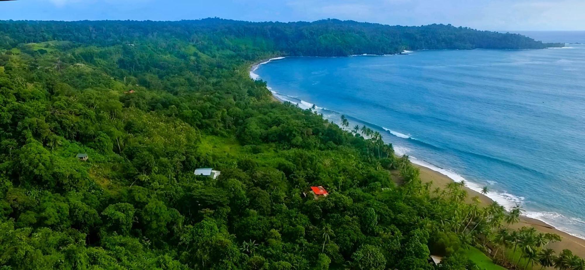 Ocean Forest Ecolodge San Pedrillo Exterior foto