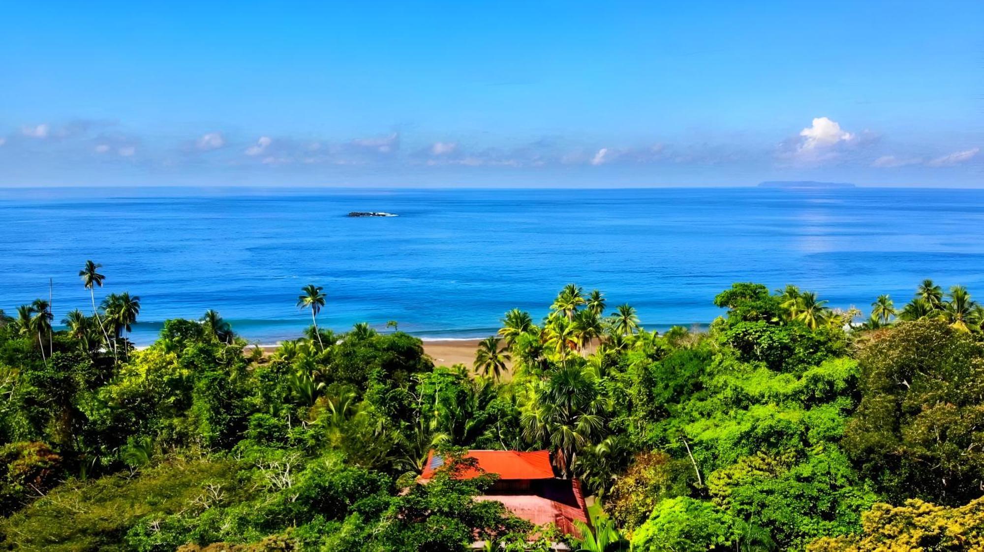 Ocean Forest Ecolodge San Pedrillo Exterior foto