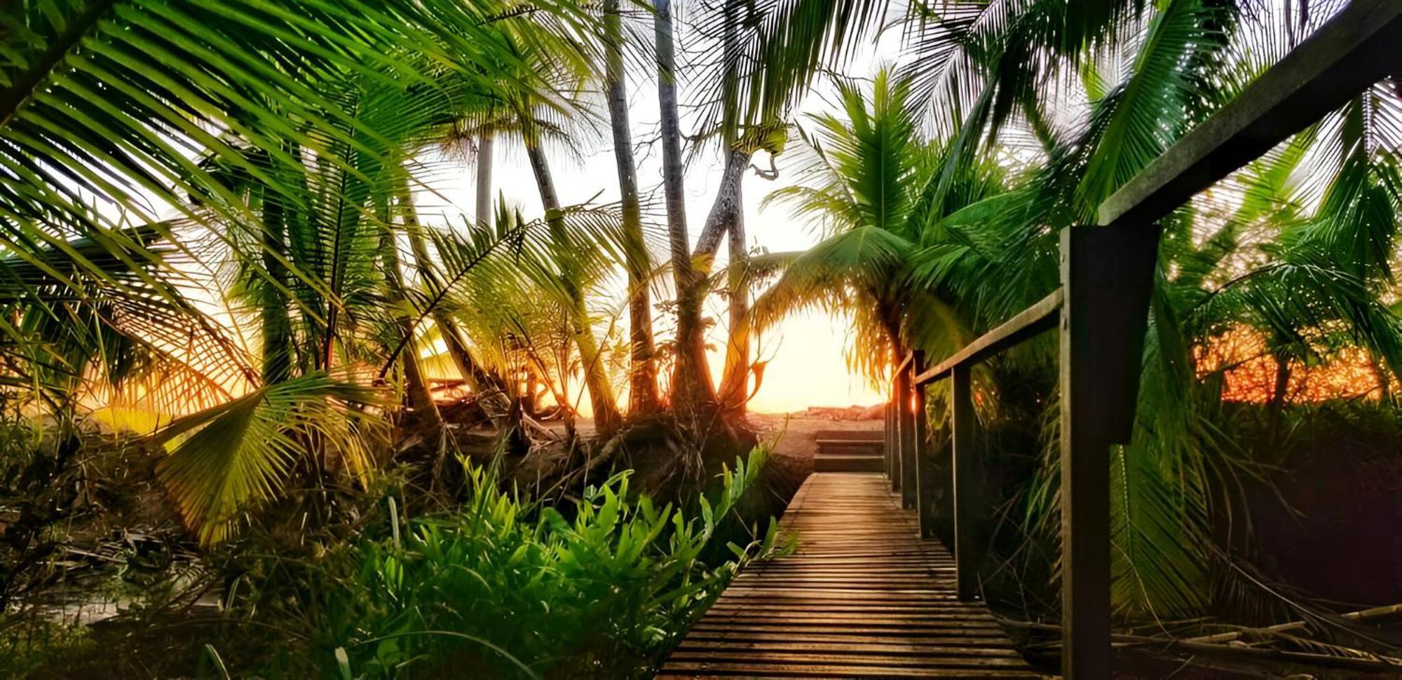 Ocean Forest Ecolodge San Pedrillo Exterior foto